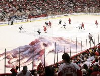 Giant-Squid-R.jpg