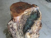 burlstump4.jpg
