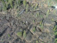 DSCF1216.jpg DSCF1216.jpg