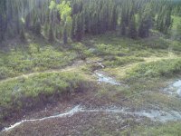 DSCF1243.jpg DSCF1243.jpg