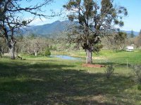 CabinSite-1.jpg CabinSite-1.jpg