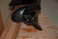 DSC_0130e.jpg