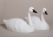 Pair of Swan Decoys.jpg