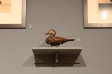 sm 03 Dudley Ruddy 04 - on high shelf.JPG