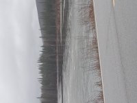 20250503_103008.jpg 20250503_103008.jpg