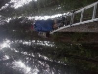 20250503_100950.jpg 20250503_100950.jpg