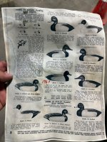 IMG_1761.jpeg