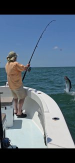 tarpon4.jpeg
