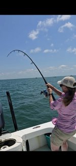 tarpon6.jpg tarpon6.jpg