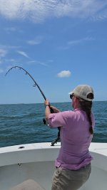 tarpon8.jpg