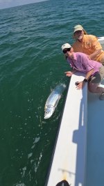 tarpon9.jpg