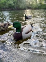 IMG_7869.jpg