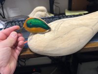 IMG_5402.jpeg
