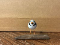 IMG_5412.jpeg