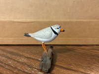 IMG_5413.jpeg