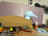 IMG_1905.jpeg