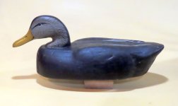 sm m Herters Model Canada Black Duck - BEST.JPG