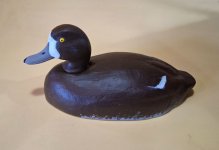sm p5 Hen Bluebill primed.jpg
