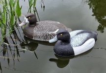 x Pair on Frog Pond 3 BEST.jpg