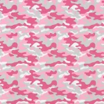 CAMOUPRPI_1.webp