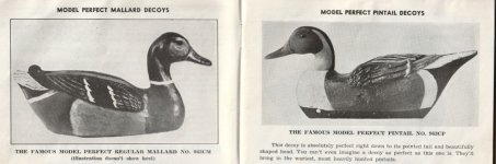 sm Model Peerfect Mallard and Pintail - 1941.jpg