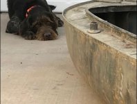 IMG_8786.jpeg