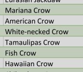 Screenshot_20250618_182003_Excel.jpg