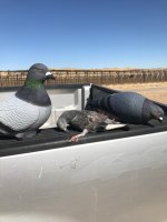 IMG_1510.jpeg
