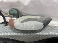 IMG_9996.jpeg