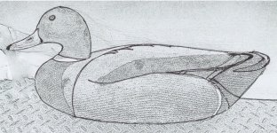 Cody Foster - Mallard paint suggestions - sm.jpg