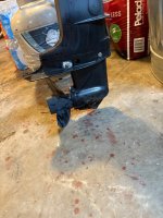 IMG_2945.jpeg