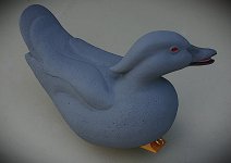 IMGP0990.JPG