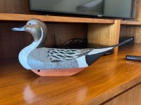 Frond Pintail.jpg