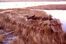 sm SJS Grassboat - Seganus Thatch early 80s.JPG