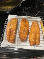 IMG_3241.jpeg