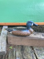 IMG_4710.jpeg