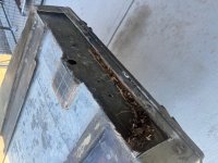 IMG_5795.jpg