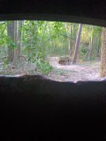 IMG_20250804_185318.jpg