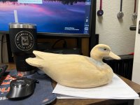 IMG_6631.jpeg