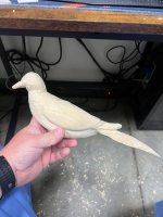 IMG_6668.jpeg