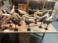 IMG_2716.jpeg
