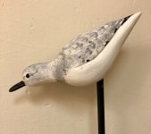 IMG_1562.jpeg