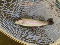IMG_6130.jpeg IMG_6130.jpeg