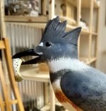 IMG_3790.jpeg