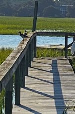 IMG_20250818_175748.jpg