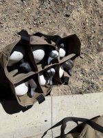 IMG_5507.jpeg