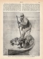 Double-ender poled - Hunters Encyclopedia p. 915.jpg