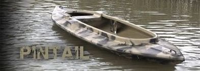 Carsten Pintail.jpeg