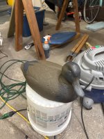 IMG_2731.jpeg