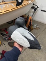 IMG_2732.jpeg